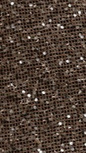 Zinnia Oversized Sequins Tee - Mocha