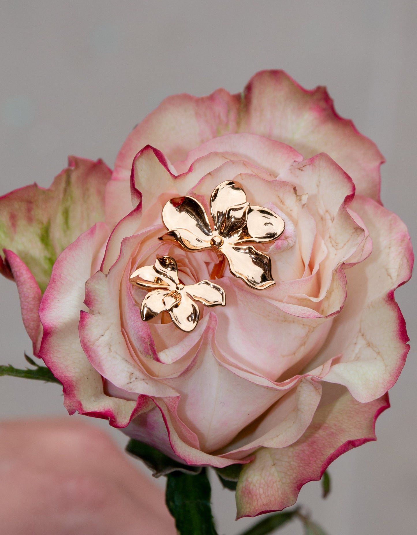 Florence Ring