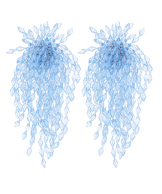 Clear Bead Fringe Earrings