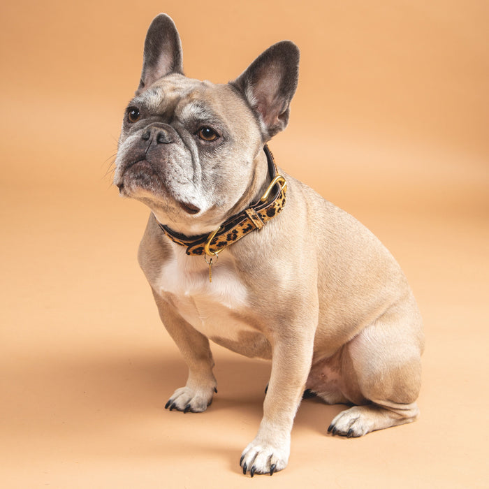 Digby & Fox Cow Hair Dog Collar
