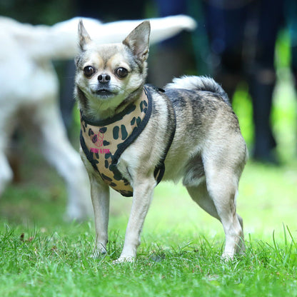 Digby & Fox Leopard Print Harness