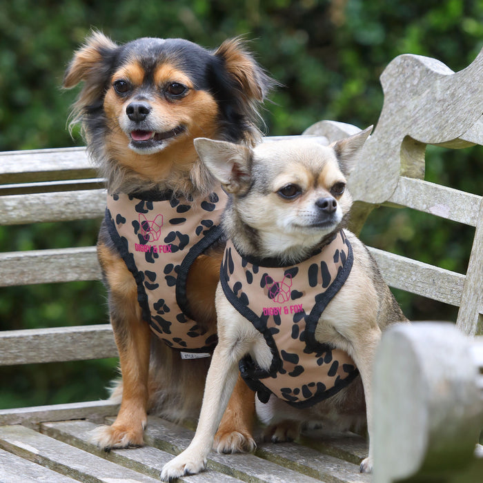 Digby & Fox Leopard Print Harness