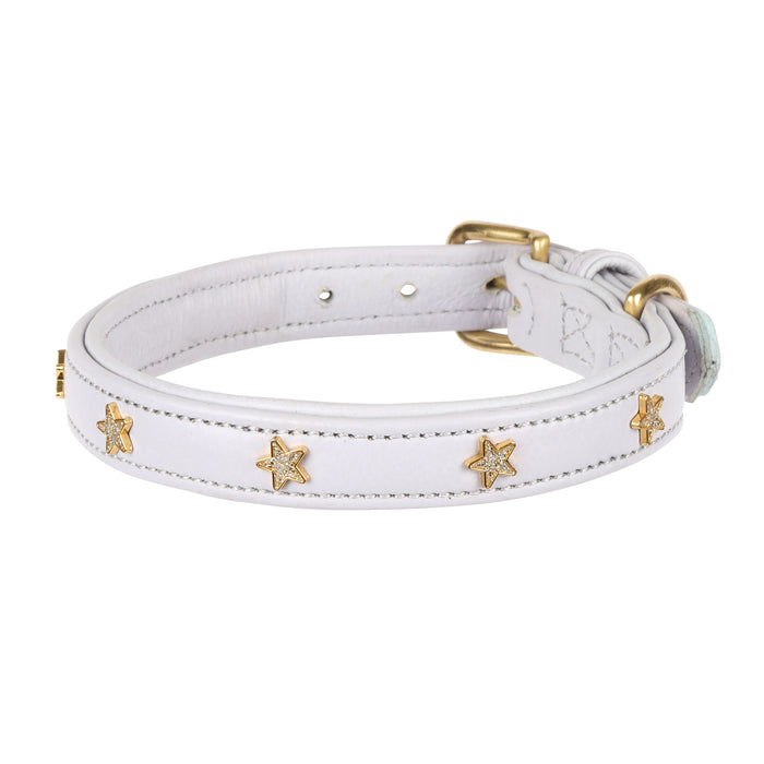 Digby & Fox Star Dog Collar