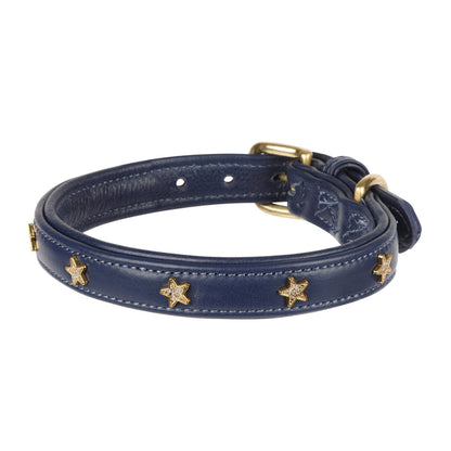 Digby & Fox Star Dog Collar