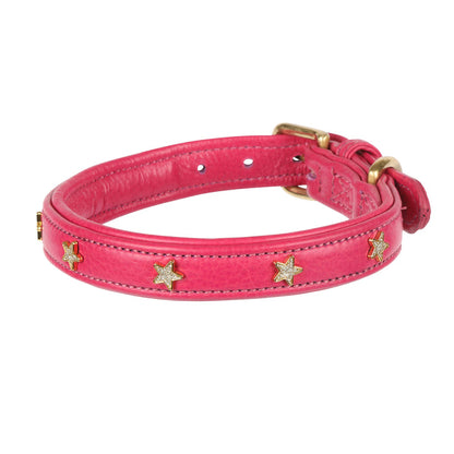 Digby & Fox Star Dog Collar