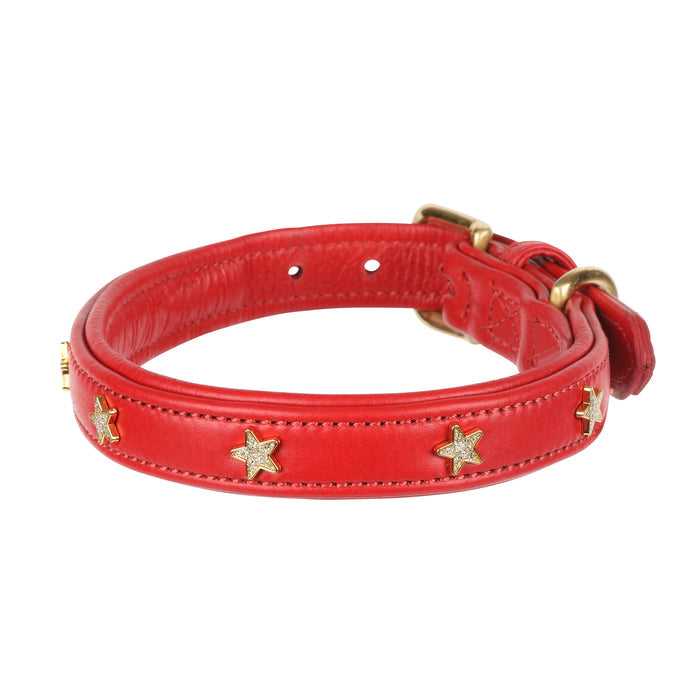 Digby & Fox Star Dog Collar