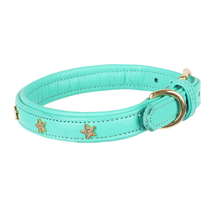 Digby & Fox Star Dog Collar